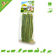 JR Farm Dill Sticks 15 grams