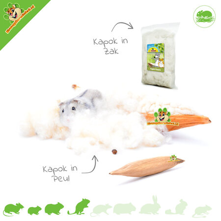 JR Farm Gousses et fibres de kapok pour petits rongeurs