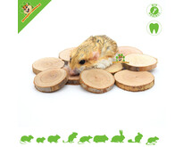 Birch slices for DIY