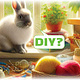 Knaagdierwinkel® Haczyk DIY S 7 cm