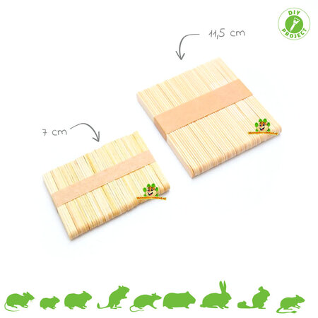 Knaagdierwinkel® Bâtonnets de glace à faire soi-même (50 pièces)