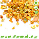 Dried Pumpkin Cubes for Rodents & Rabbits