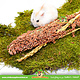 Récolte d'herbe séchée du Soudan pour les rongeurs et l'aménagement des hamsters !