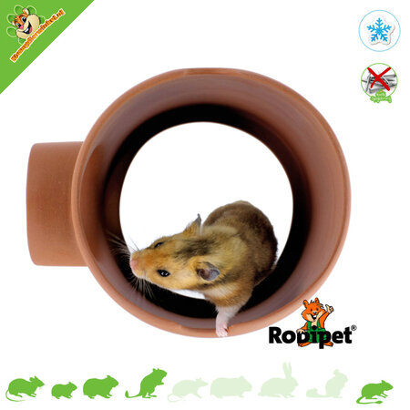 Rodipet EasyClean advance TERRA Ceramic House 20 cm