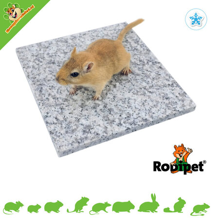 Rodipet Pierre rafraîchissante Granit 18 cm