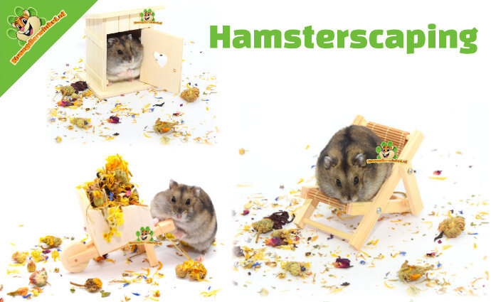 Hamsterscaping