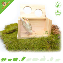 Bac à sable vierge avec deux entrées