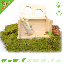 Sandbox Blank con dos entradas