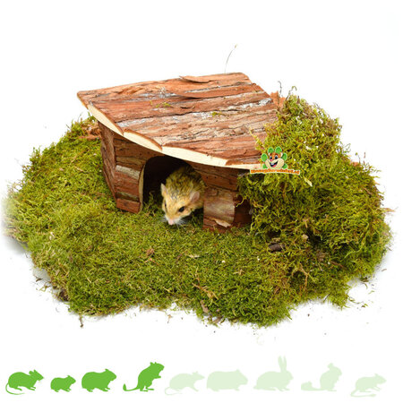 Trixie Corner house Jesper 32 cm