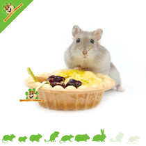 Fruta de pastelería para roedores