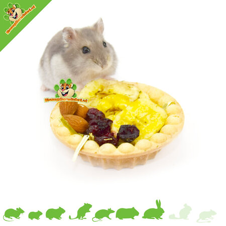 Vitakraft Knaagdier Gebak Fruit