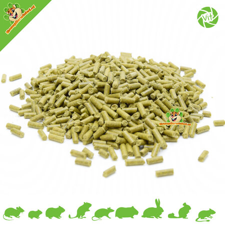 Vitakraft Vita Fit C Forte Vitamina 100 gramos