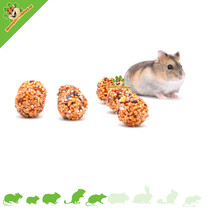 Rollinis Rodent Fruit Mix