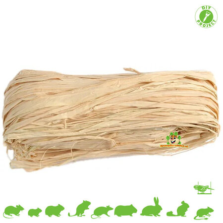 Feuilles de palmier en raphia bricolage groupées