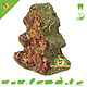 Trixie Kerstboom Peterselie