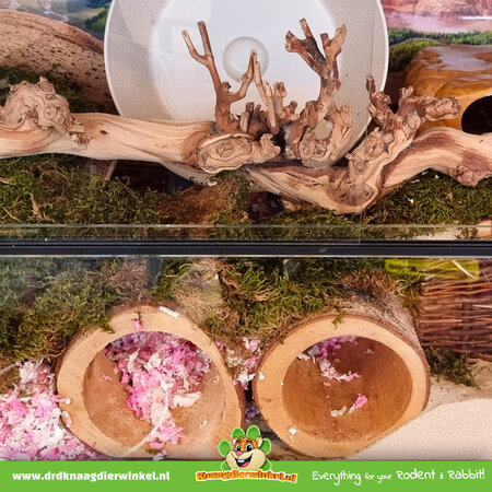 Tree Trunk Tunnel Lampegan for Rodents!