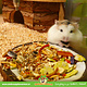 Keramik Kokosnuss Futternapf 10 cm