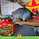 HayPigs HayPigs Circus Tent 25 cm voor cavia’s, ratten & knaagdieren