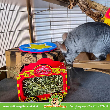 HayPigs HayPigs Kartonnen Speelhuis Junior 30 cm voor knaagdieren