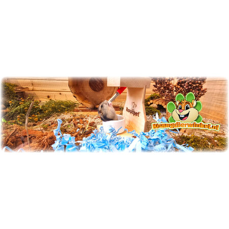 Rodipet Porte-bouteille en bois