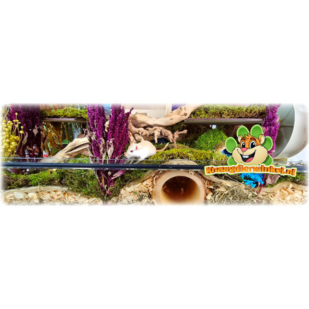 Knaagdier Kruidenier Amarant Harvest 150 gramos Rojo para Roedores y Aves