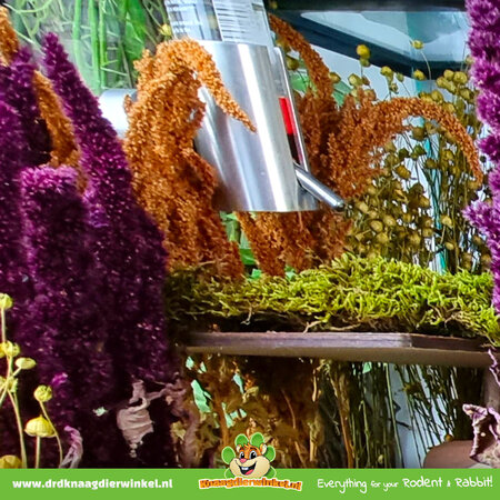 Knaagdierwinkel® Aluminium-Trinkflaschenhalter für Nagetiere!