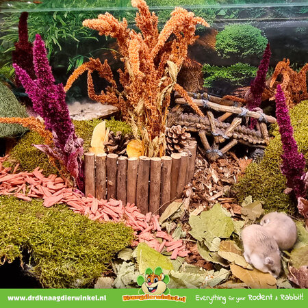 Knaagdier Kruidenier Amarant Oogst Oranje 100 gram