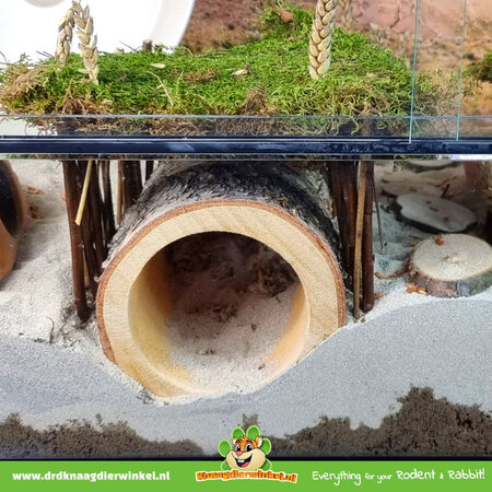 Hugro Berken Tunnel Mont Blanc 23 cm voor Knaagdieren!