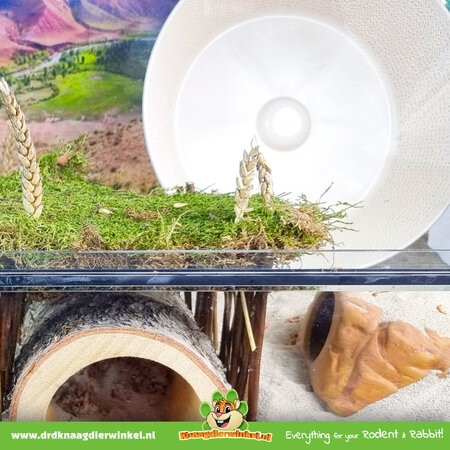 Rodipet Roue de course Heureka Marathon 30 cm