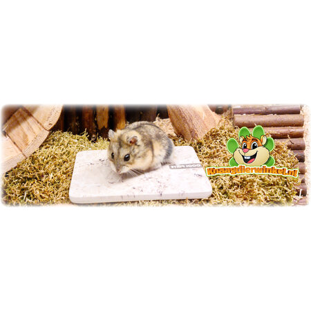 Grey Ceramic Cooling Stone for Rodents & Rabbits
