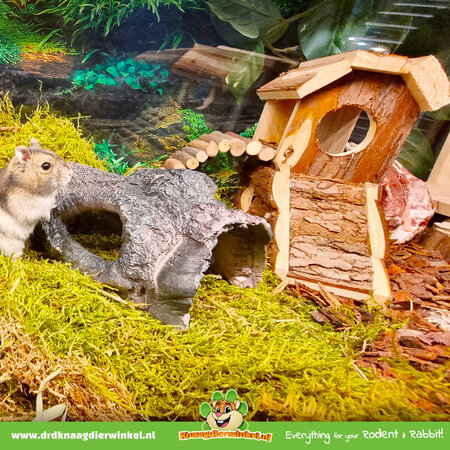 Forest Speeltoren 17 cm voor Dwerghamsters!