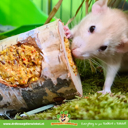 JR Farm Wooden Nibble Roll