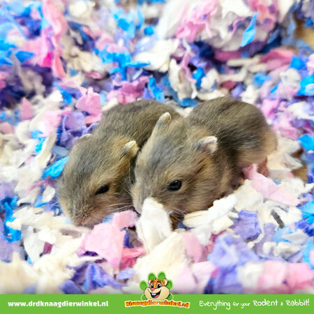 PetsPick Über Couvre-sol en papier Confetti 36 litres