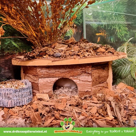 Trixie Hoekhuis Jesper 21 cm voor Muizen, Dwerghamsters & Gerbils