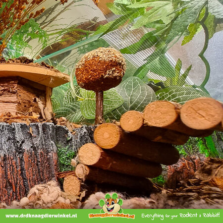 Trixie Wilgenbrug 22 cm voor kleine knaagdieren