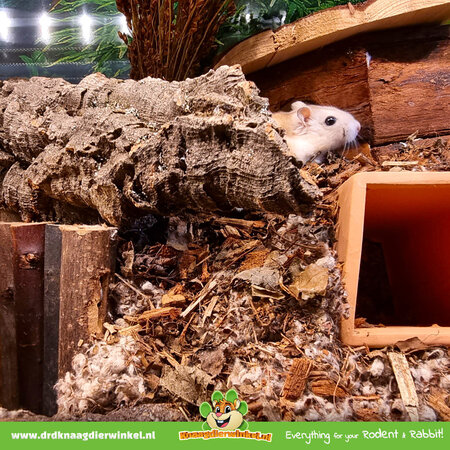 Trixie Tunel korkowy