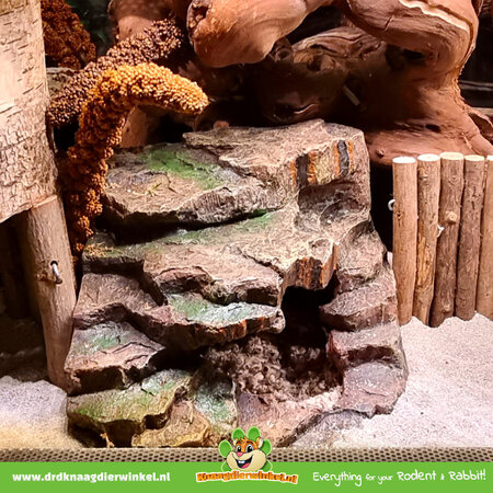 Trixie Skała narożna w lesie deszczowym