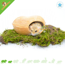 Ceramic Peanut House 17 cm