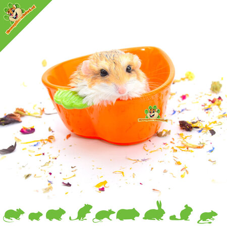 Trixie Bol à nourriture et bol à eau Carotte 12 cm