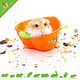 Trixie Food Bowl & Water Bowl Carrot 12 cm