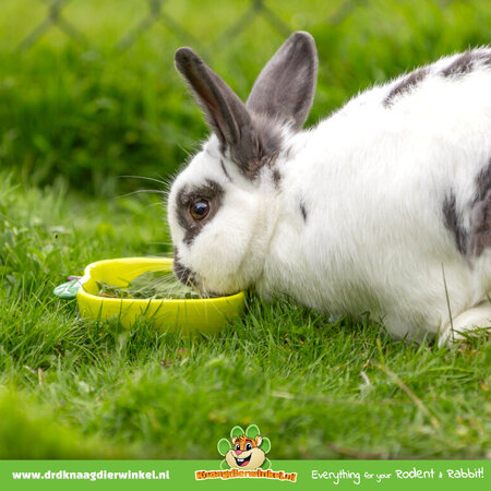 Trixie Futternapf & Wassernapf Apfel 12 cm