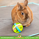 Trixie Balle de jeu et de collation en bois 8 cm pour rongeurs et lapins