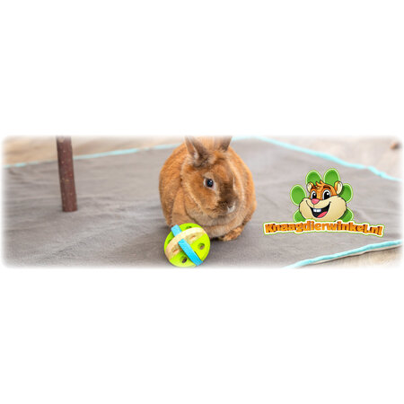 Trixie Wooden Play & Snack Ball 8 cm for rodents and rabbits