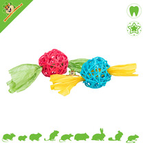 Colored Willow balls with nibble paper