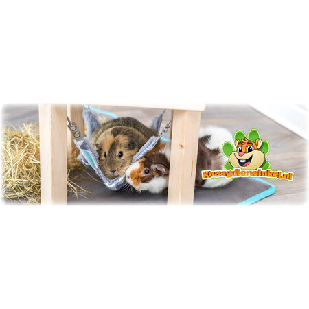 Trixie Plateau with Hammock