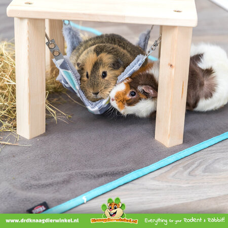 Trixie Plateau with Hammock