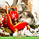 Knaagdierwinkel® Hamsterscaping Deco Houten Slee 9 cm