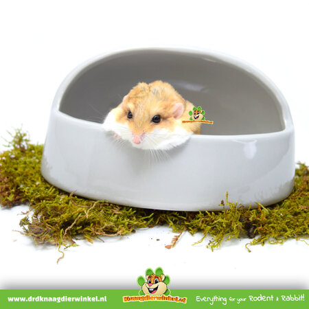 Trixie Sandbox Ceramic Half Round