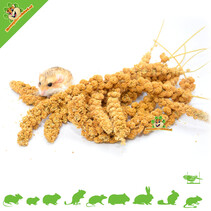 Spray Millet Jaune 250 grammes