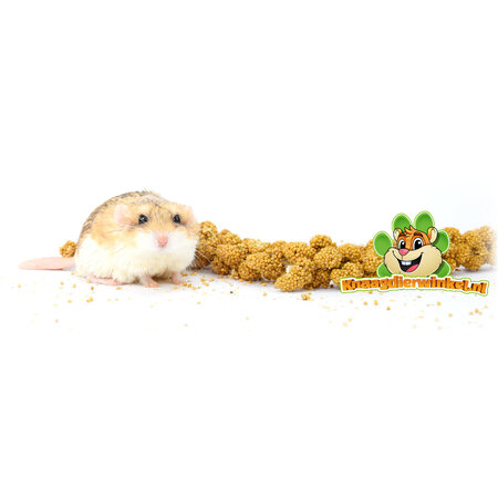 JR Farm Spray Millet Jaune pour Rongeurs & Oiseaux